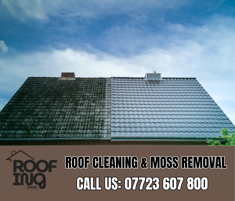 Roof Cleaning in Sennen
